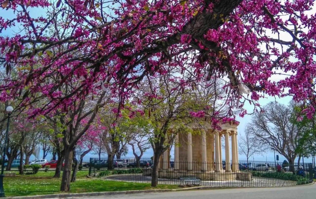 Corfu Studio In Historic Unesco City Centre Zewnętrze zdjęcie